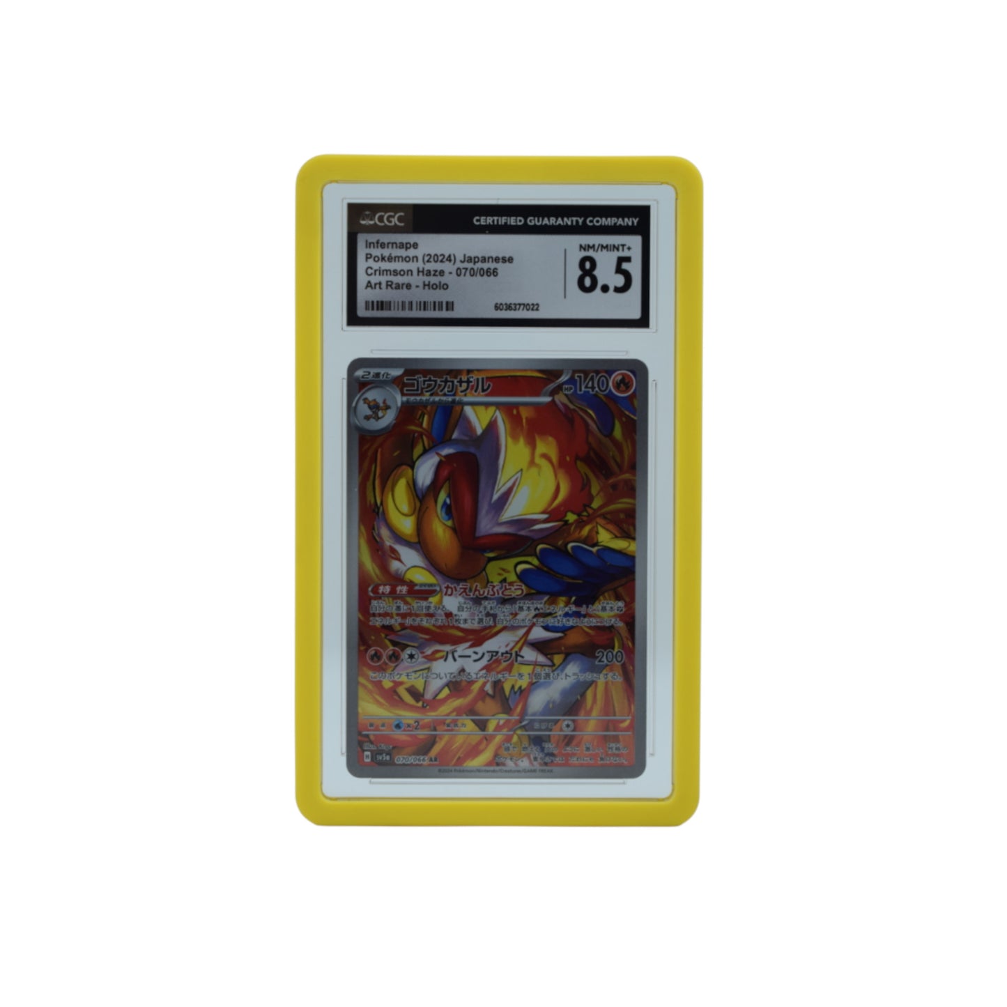 CGC Slab Guard for Standard Graded CGC Slabs 5 Color Options or Multicolor - Exact Fit, Matte Finish