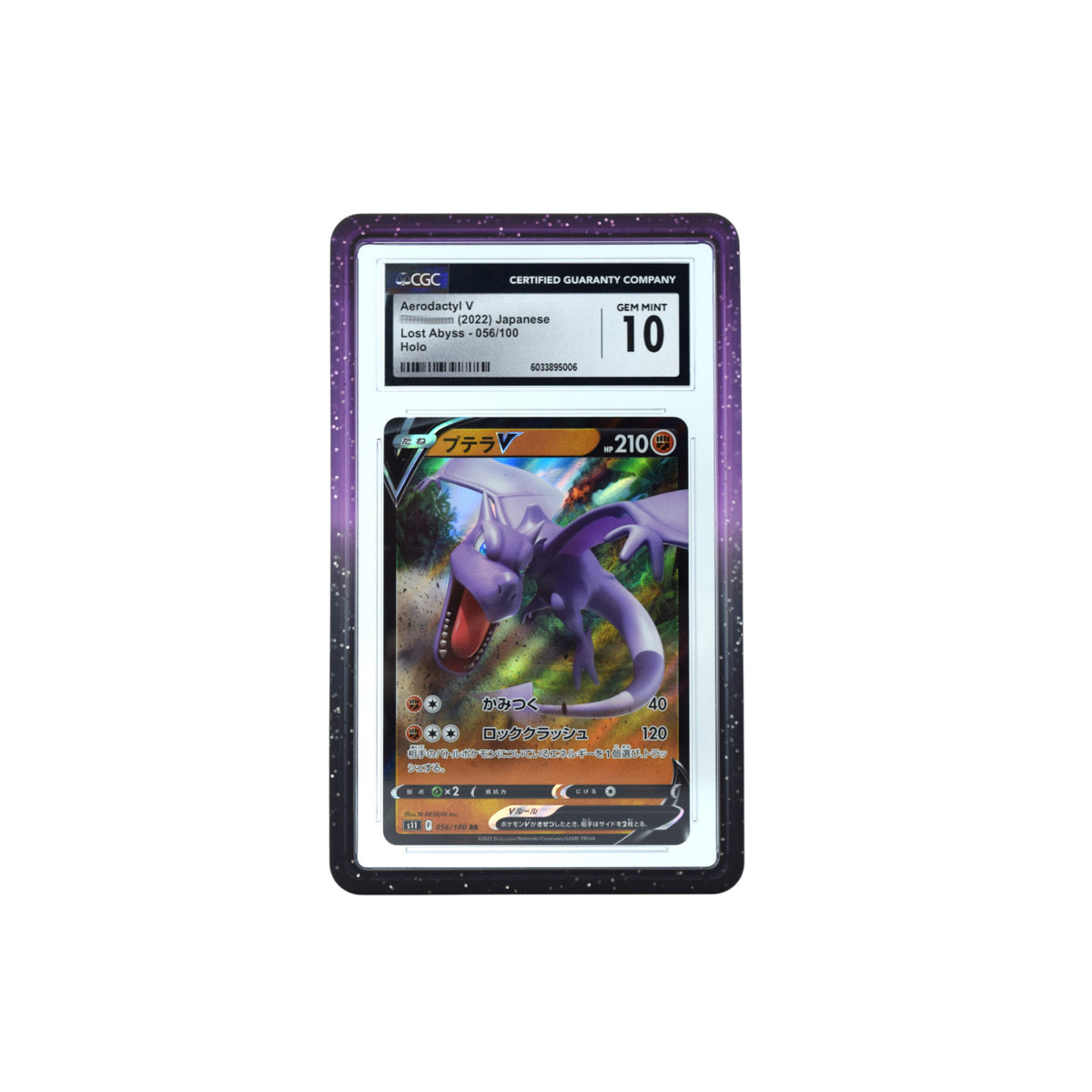 Gradient CGC Slab Guards for Standard Graded CGC Slabs 7 Color Options or Multicolor